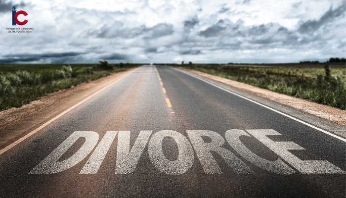 ditruquoctich.com/hon-nhan-dua-tren-tien-ti-cua-co-gai-viet-1