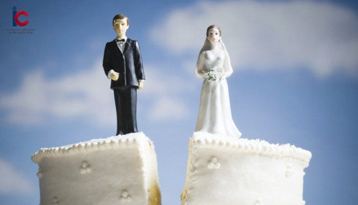 ditruquoctich.com/hon-nhan-dua-tren-tien-ti-cua-co-gai-viet-2