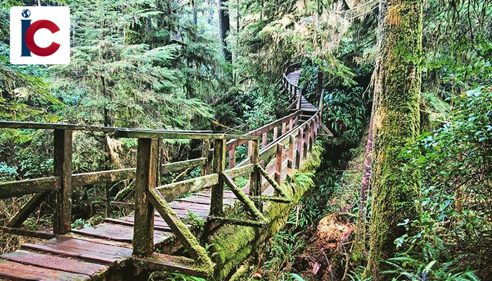 nhung-cong-vien-quoc-gia-dep-nhat-tai-canada-2