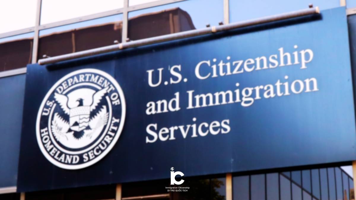 lưu ý quan trọng để tra cứu chính xác và an toàn